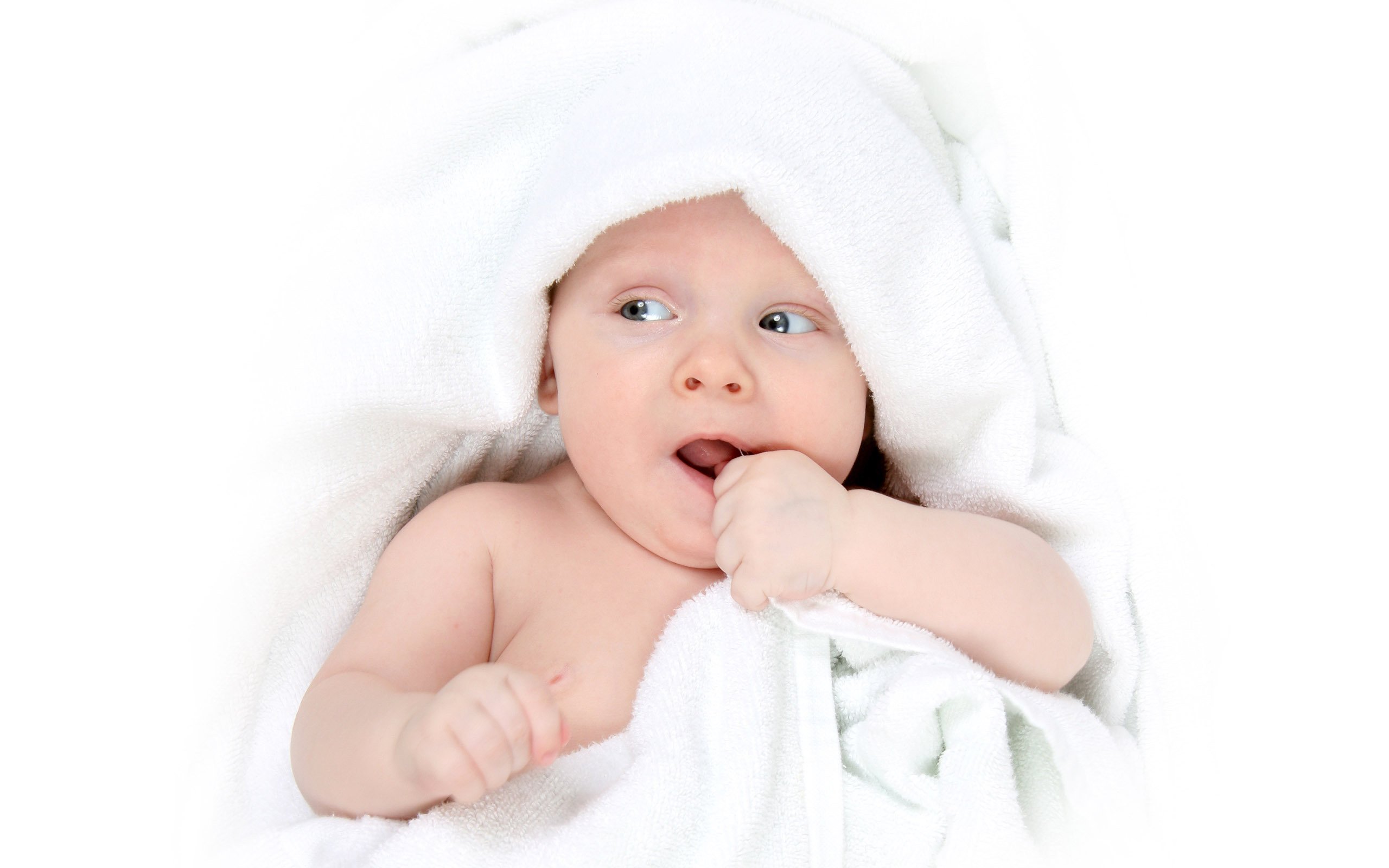 福州助孕供卵试管婴儿囊胎成功率